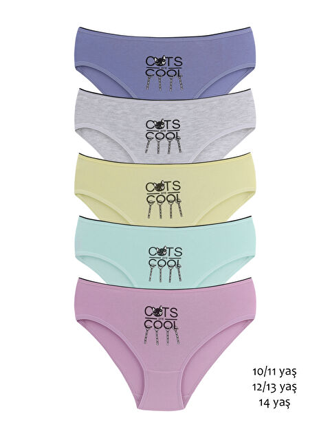 Domikids Kız Çocuk Slip Pamuklu Külot 5'li Paket - S000437289-23173