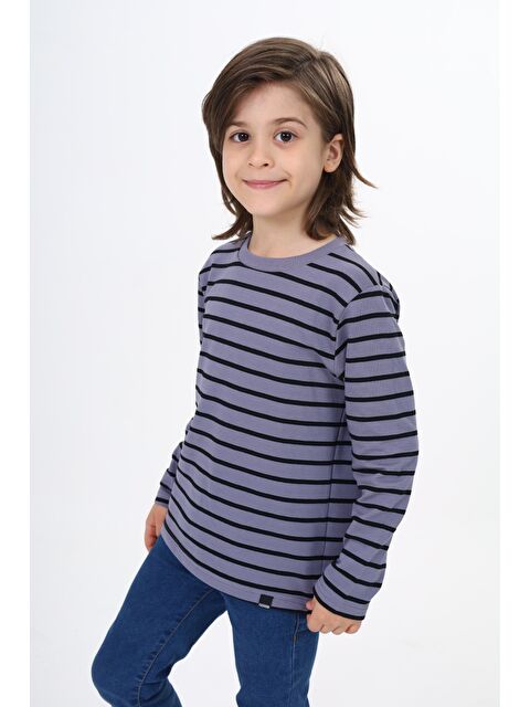 Toontoykids Erkek Çocuk Çizgili Tişört - S000390629-20600