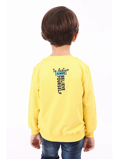 Toontoykids Erkek Çocuk Baskılı Sweatshirt - S000273760-20072