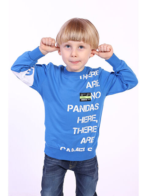 Toontoykids Erkek Çocuk Ön Ve Kol Baskılı Sweatshirt - S000273771-23710