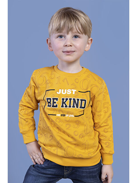 Toontoykids Erkek Çocuk Sayı Baskılı Sweatshirt - S000273344-20074