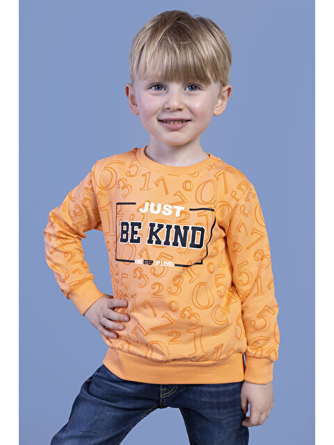 Toontoykids Erkek Çocuk Sayı Baskılı Sweatshirt - S000273344-20013