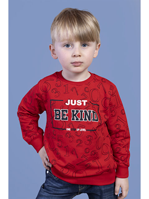 Toontoykids Erkek Çocuk Sayı Baskılı Sweatshirt - S000273344-20045