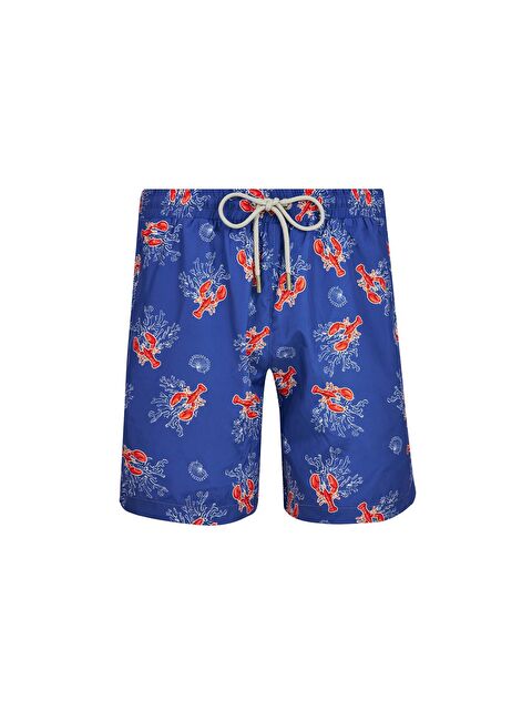 LAPİENO Erkek Deniz Havuz Şortu Desenli Even S273 Saks - S000191626-23710