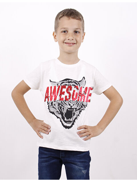 Toontoykids Erkek Çocuk Awesome Pul Nakışlı T-Shirt - S000417945-20063