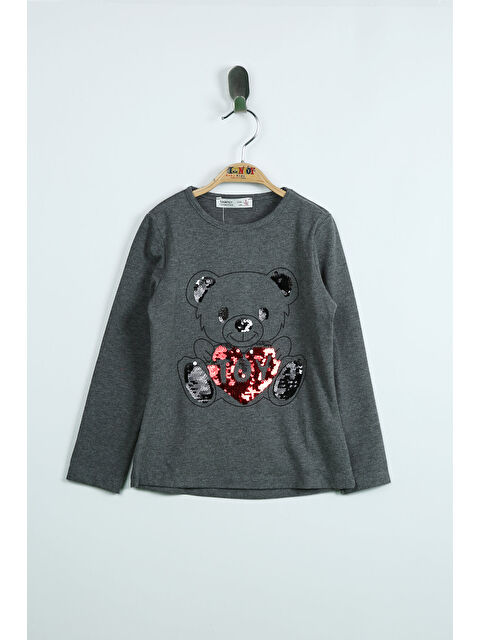 Toontoykids Kız Çocuk Sweatshirt  Ayıcık Baskı Pul Nakış - S000255952-29666