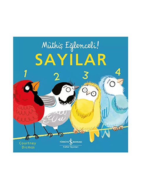 Türkiye İş Bankası Kültür Yayınları Sayılar – Müthiş Eğlenceli! - S000223675-23173