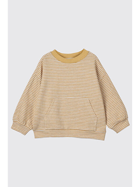 Panço Erkek Bebek Çizgili Hardal Sweatshirt - S000514319-20074