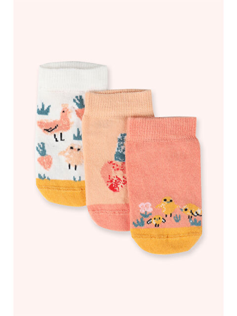 Panço Kız Bebek 3'lü Patik Çorap Seti - S000514333-23173