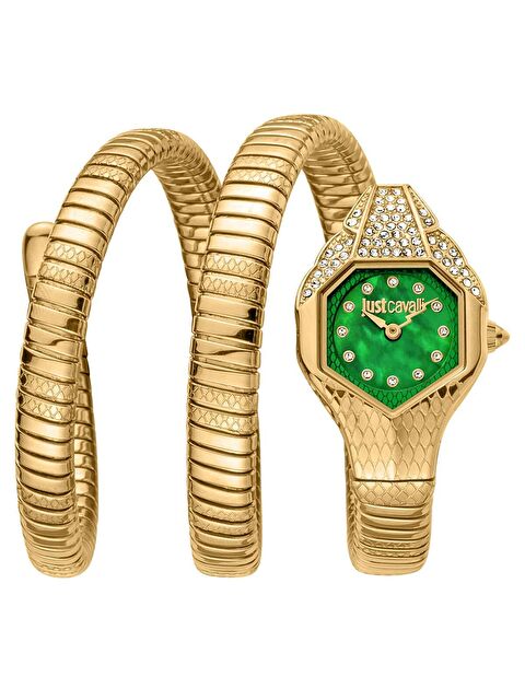 Just Cavalli JC1L193M0035 Kadın Kol Saati
