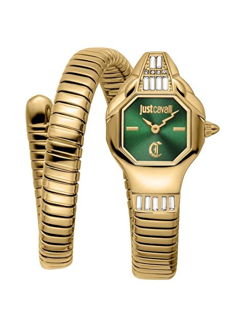 Just Cavalli JC1L326M0035 Kadın Kol Saati