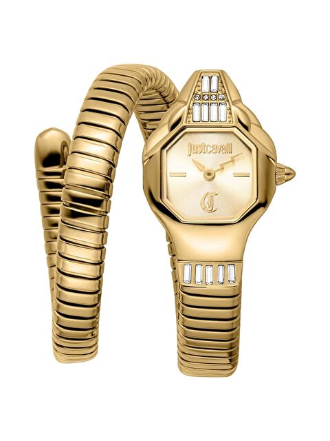 Just Cavalli JC1L326M0025 Kadın Kol Saati