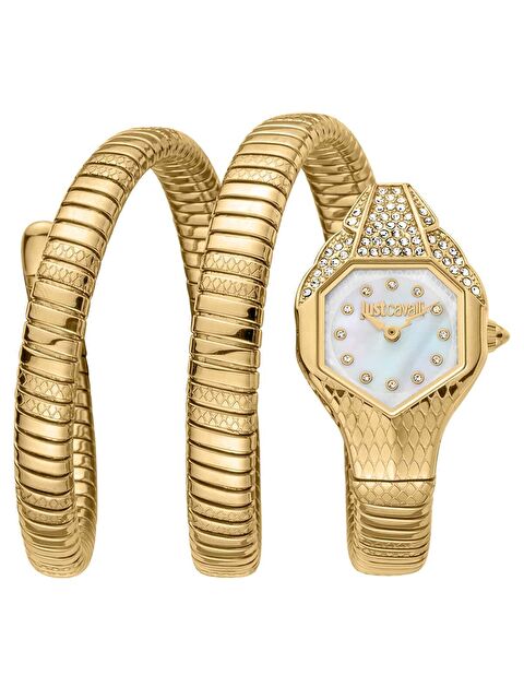 Just Cavalli JC1L193M0025 Kadın Kol Saati