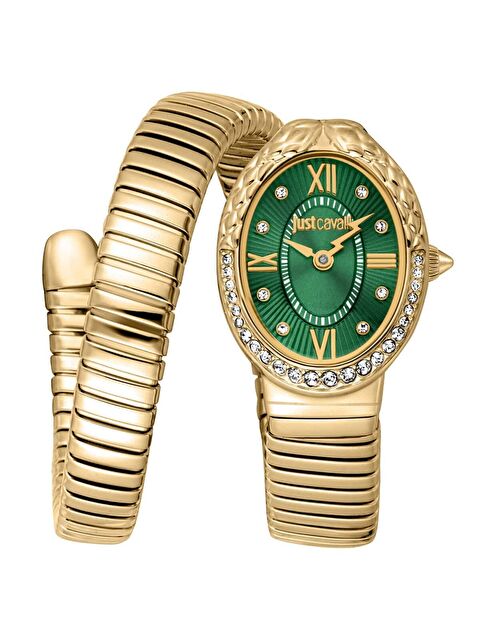 Just Cavalli JC1L390M0035 Kadın Kol Saati