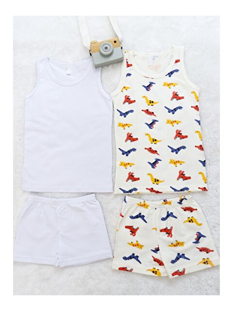 Harika Kids Erkek Çocuk Baskılı İkili Paket Pamuklu Boxer Takım - S000176962-19965