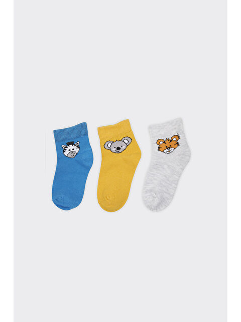 Panço Erkek Çocuk Figürlü Patik Çorap - S000524678-23173