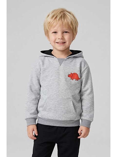Luess Erkek Çocuk %100 Pamuk Baskılı Sweatshirt (4-5 Yaş)