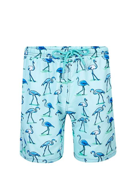 Lapi·eno Erkek Deniz Havuz Şortu Desenli Percy S250 Mint - S000191690-17259