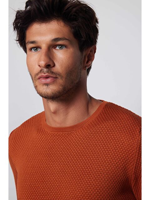 TUDORS Erkek Standart Fit Normal Kesim Bisiklet Yaka Petek Desenli Tarçın Triko Kazak