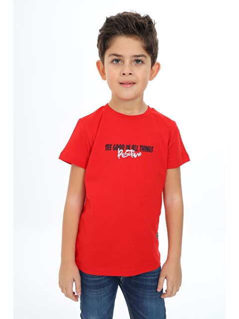 Toontoykids Erkek Çocuk Baskılı Tişört - S000344803-20045