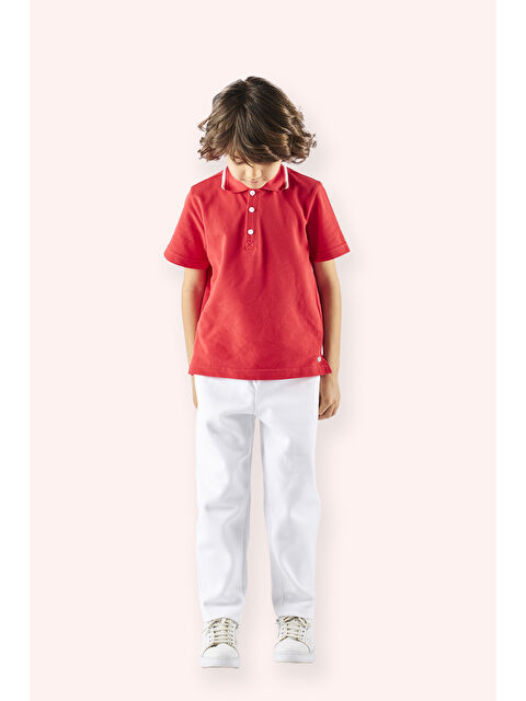 Panço Erkek Çocuk Kırmızı Polo Yaka Tişört - S000333681-20045