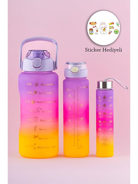 Porsima 11918 3 lü Motivasyon Stickerlı Kokusuz Spor Su Matarası - Su Şişesi - Renkli Suluk Lila - S000088930-20029