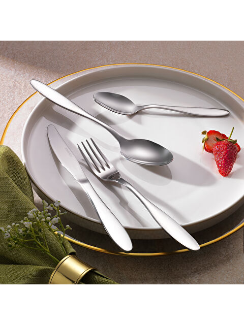 SCHAFER Sheen 24 Parça Çatal Kaşık Bıçak Takımı-Gümüş20 - S000168292-18105
