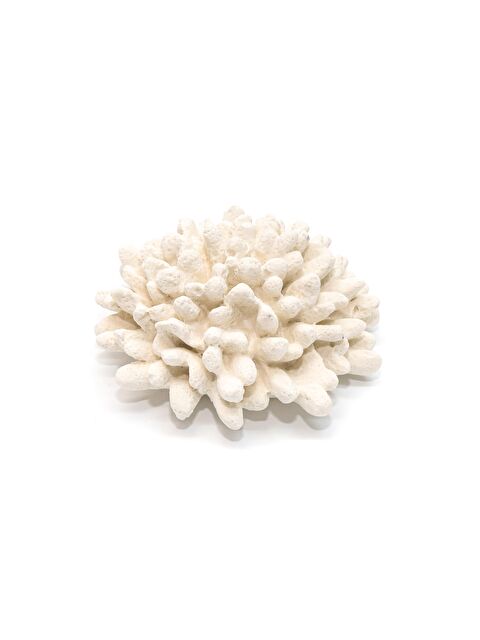 Missi 500 ml Oda Kokusu İçin Mercan Yedek Fitilli Taş - S000080188-19965