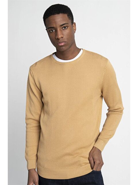 TUDORS Erkek Standart Fit Normal Kesim Bisiklet Yaka Petek Desenli Sarı Bej Triko Kazak