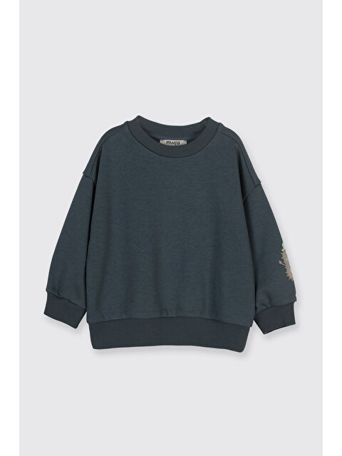 Panço Erkek Bebek Baskı Detaylı Yumuşak Dokulu Petrol Sweatshirt - S000470955-20019