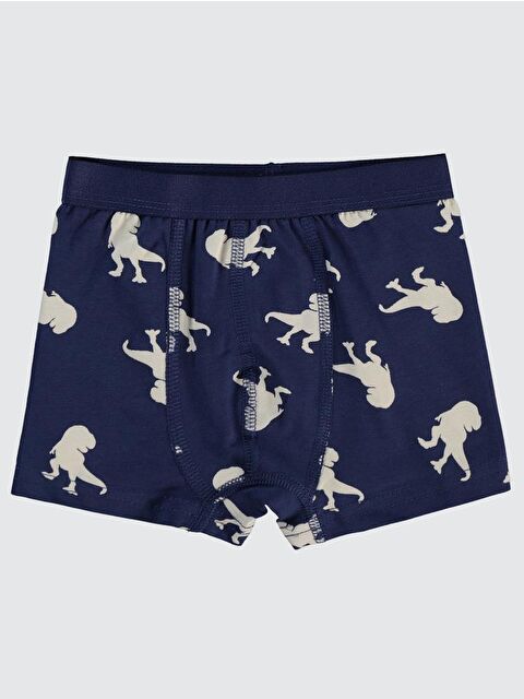 Civil Boys Dinozor 2-10 Yaş İç Çamaşır Takım - Beyaz 8-9 Yaş - S000344093-20063