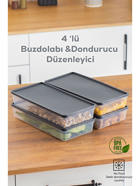 Porsima 1101 4'lü Buzdolabı Düzenleyici Difriz-mikrodalga Uyumlu Buzluk Saklama Kabı Seti Antrasit - 2 Lt - S000292369-29666