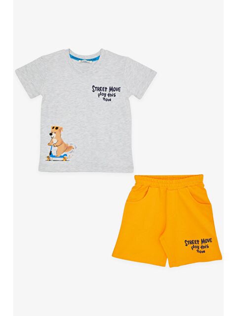 Breeze Erkek Çocuk Şortlu Takım Kaykaycı Ayıcık Baskılı Açık Gri Melanj (2 Yaş) - S000068315-37204