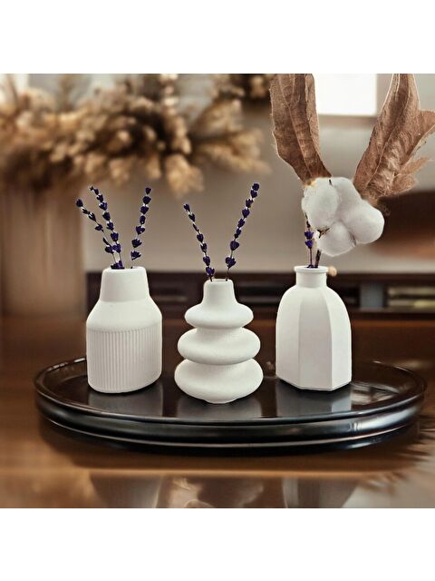 Havalı Tasarım 3'lü Minimal 10 Cm Vazo Seti - S000210753-20063