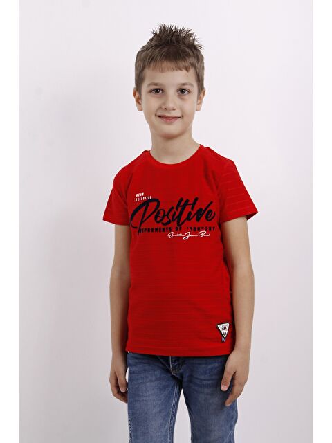 Toontoykids Erkek Çocuk Flok Baskılı Örgülü Tişört