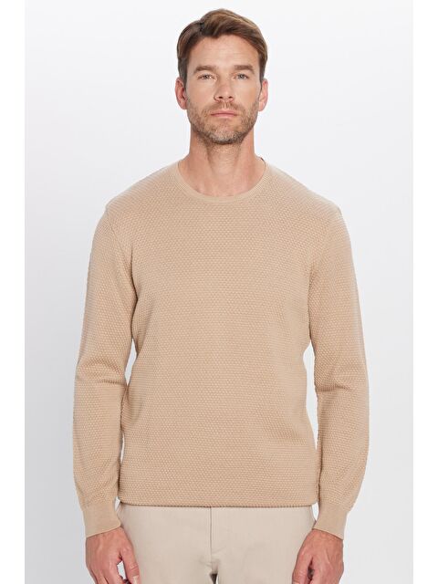 TUDORS Erkek Standart Fit Normal Kesim Bisiklet Yaka Petek Desenli Krem Triko Kazak - S000042968-19966