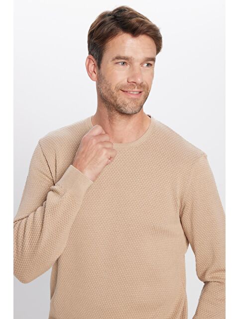 TUDORS Erkek Standart Fit Normal Kesim Bisiklet Yaka Petek Desenli Taş Triko Kazak