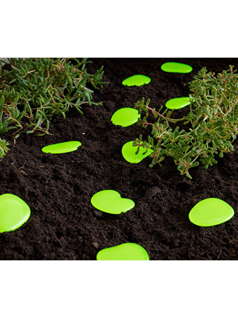 Tchibo 15 Adet Işıldayan Çakıl Taşı