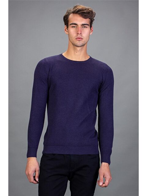 TUDORS Erkek Standart Fit Normal Kesim Bisiklet Yaka Petek Desenli Mor Triko Kazak