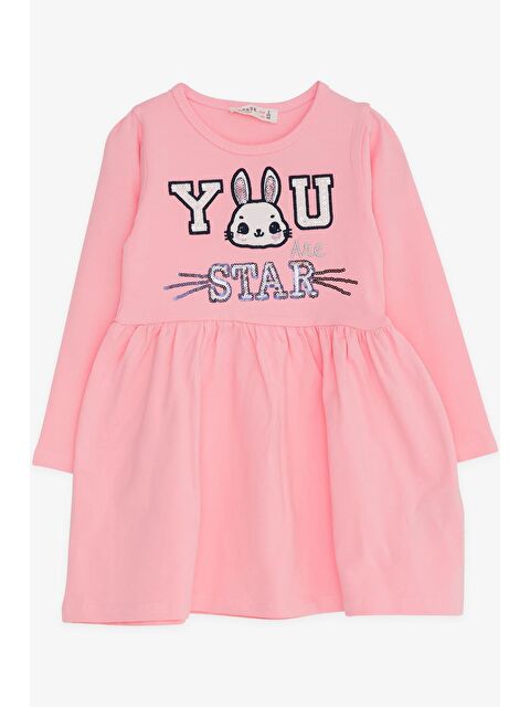 Breeze Kız Çocuk Uzun Kollu Elbise Tavşan Nakışlı Pudra (2-3 Yaş) - S000070068-23490