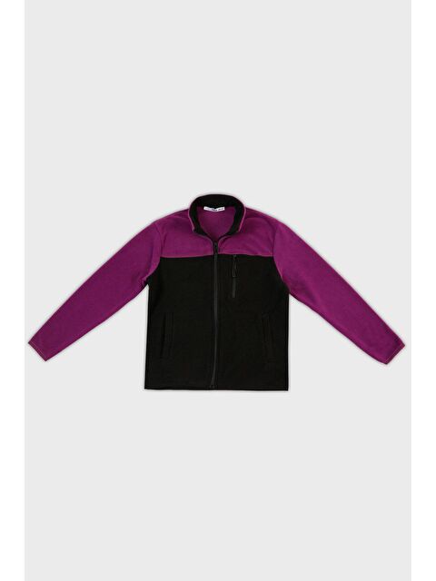 Lela Yumuşak Dokulu Fermuarlı Renk Bloklu Dik Yaka Cepli Polar 5905001 - S000000584-20042