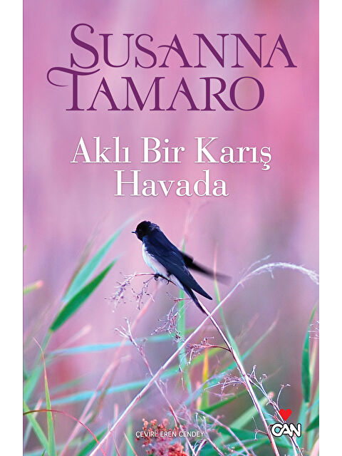 Can Yayınları Aklı Bir Karış Havada - S000251443-10231