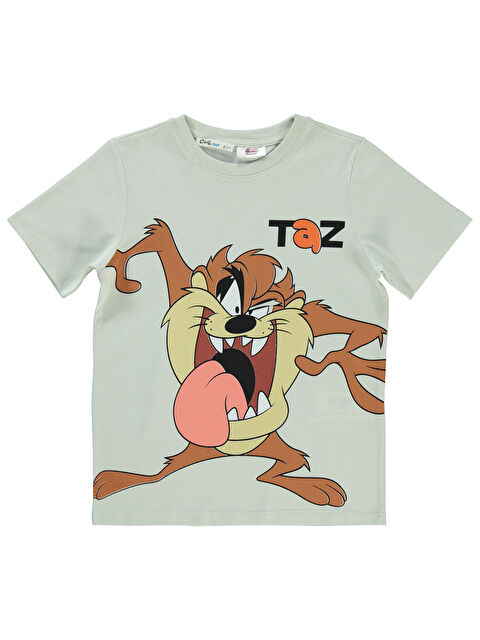 Civil Tazmanya Erkek Çocuk Tişört 6-9 Yaş Açık Gri