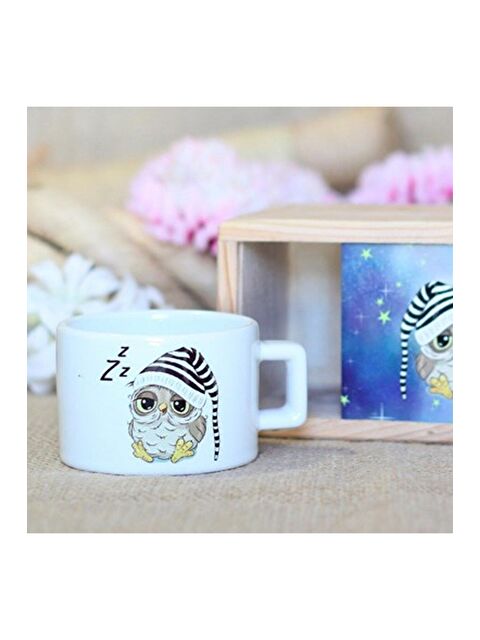 Bam Hediyelik Eşya Ahşap Kutusunda Sevimli Baykuş Kupa Bardak - S000290278-23173