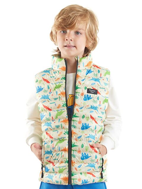 Ahengim Erkek Çocuk Dinozor Baskılı Trend Şişme Yelek Ak216263 - S000201000-19966