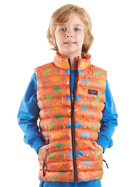 Ahengim Erkek Çocuk Dinozor Baskılı Trend Şişme Yelek Ak216263