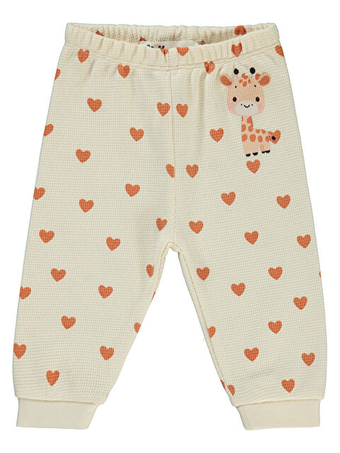 Civil Baby Kız Bebek Patiksiz Tek Alt 6-18 Ay FilDişi - S000382436-19927