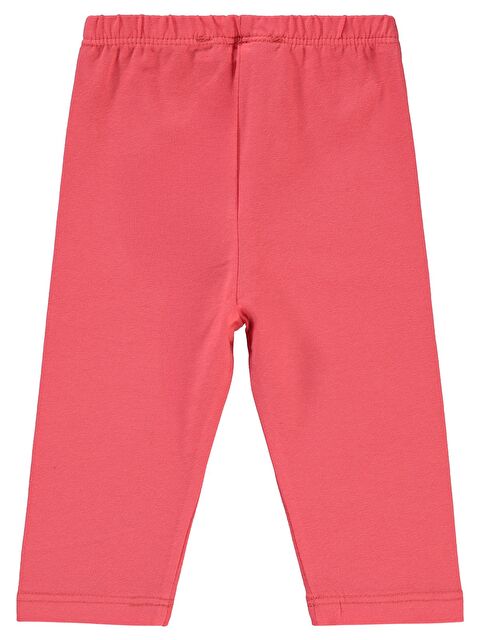 Civil Baby Düz 6-18 Ay Tayt - Pembe 9-12 Ay - S000369220-20024
