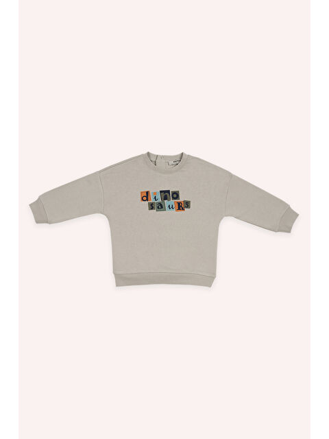 Panço Erkek Bebek Baskılı Bej Sweatshirt - S000336840-19928