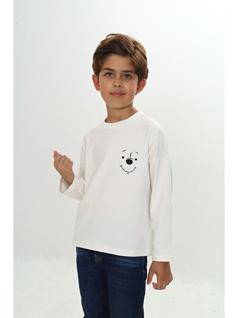 Toontoykids Erkek Çocuk Baskılı Tişört - S000417589-19965